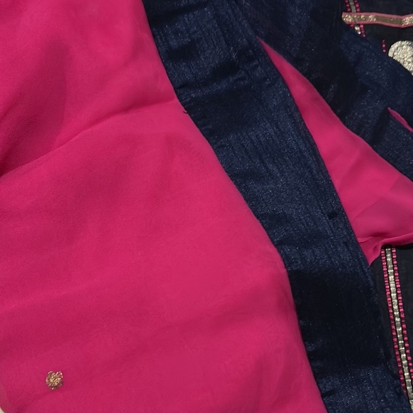 Elegant Indigo Organza and Silk Punjabi Formal Salwar Kameez - Picture 8 of 8